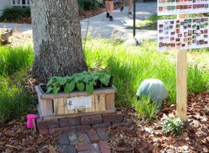Educational Gardens at the Palmetto Historical Park